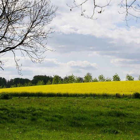 La Grange De Felicie Bed & Breakfast Charrey-sur-Saone Eksteriør bilde