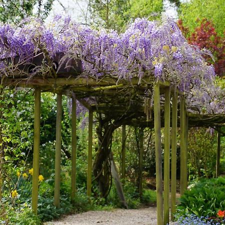 La Grange De Felicie Bed & Breakfast Charrey-sur-Saone Eksteriør bilde